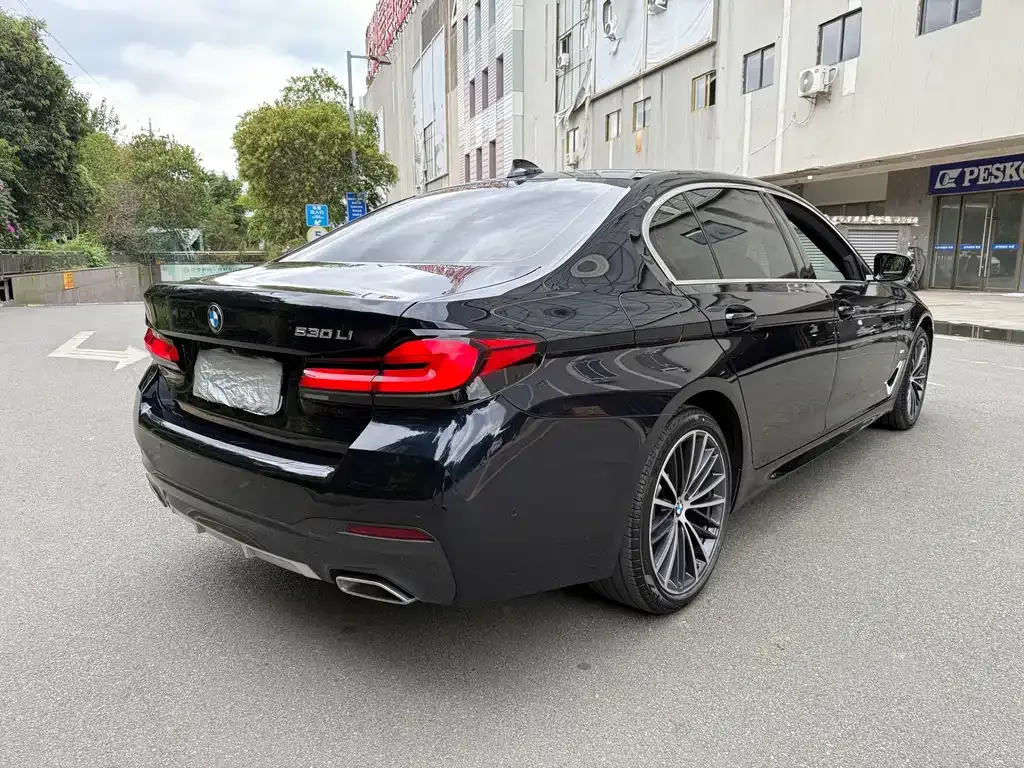 BMW 5 Series 2022 из CN, фото 8