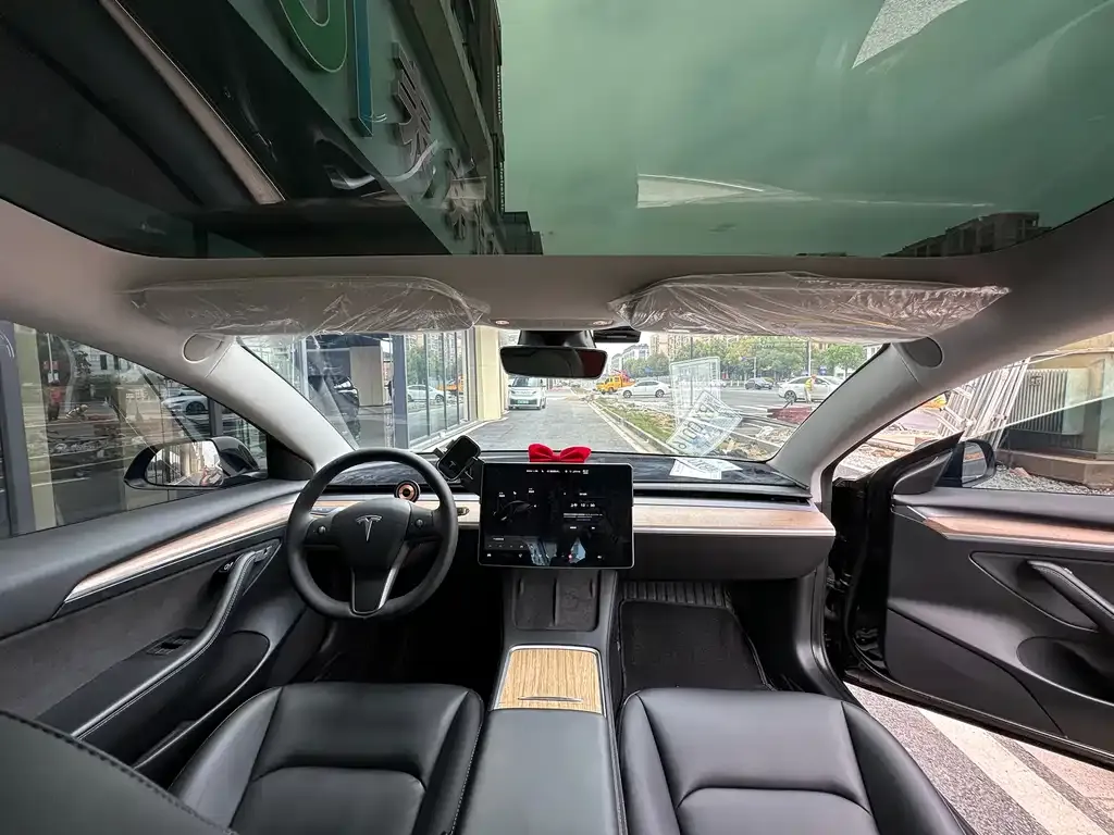 Tesla Model 3 2021 из CN, фото 10