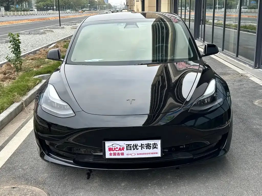Tesla Model 3 2021 из CN, фото 2