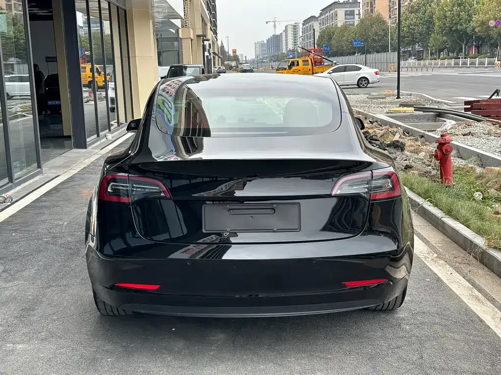 Tesla Model 3 2021 из CN, фото 4