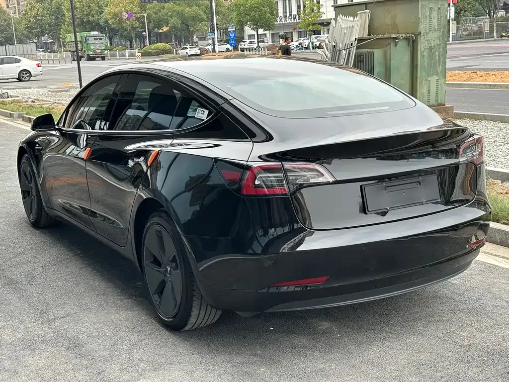 Tesla Model 3 2021 из CN, фото 6