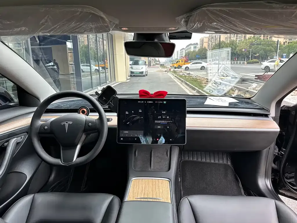 Tesla Model 3 2021 из CN, фото 7