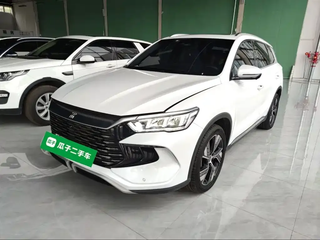 BYD Pro New Energy 2023 из CN, фото 2