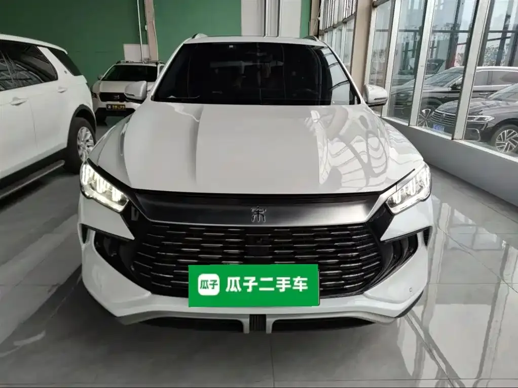 BYD Pro New Energy 2023 из CN, фото 3
