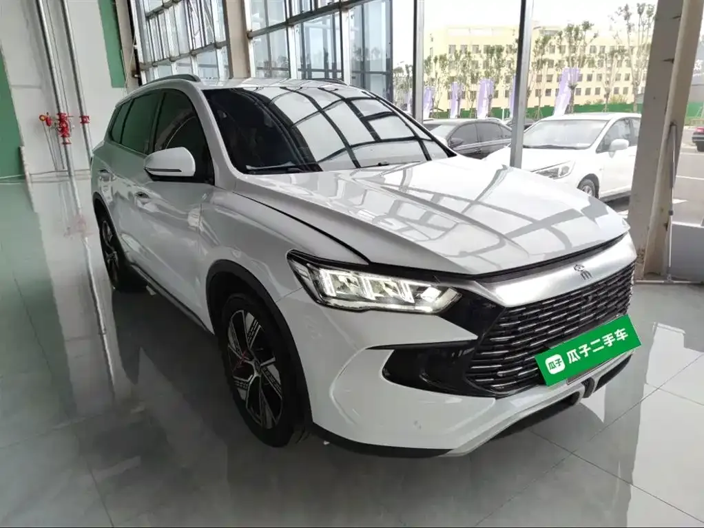 BYD Pro New Energy 2023 из CN, фото 4