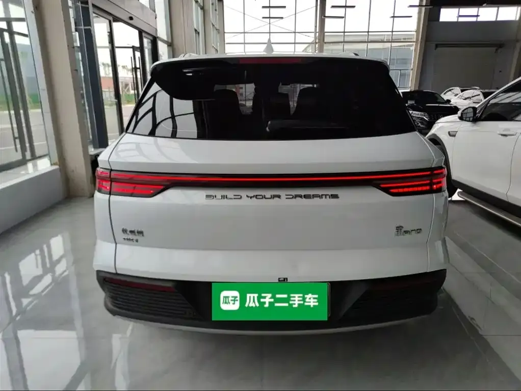 BYD Pro New Energy 2023 из CN, фото 6