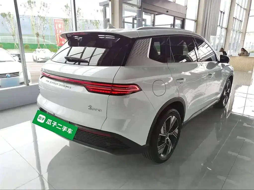 BYD Pro New Energy 2023 из CN, фото 7