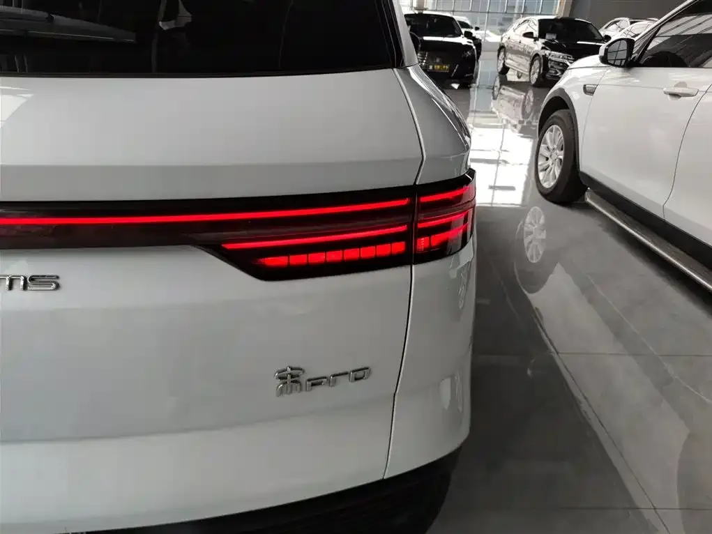 BYD Pro New Energy 2023 из CN, фото 8