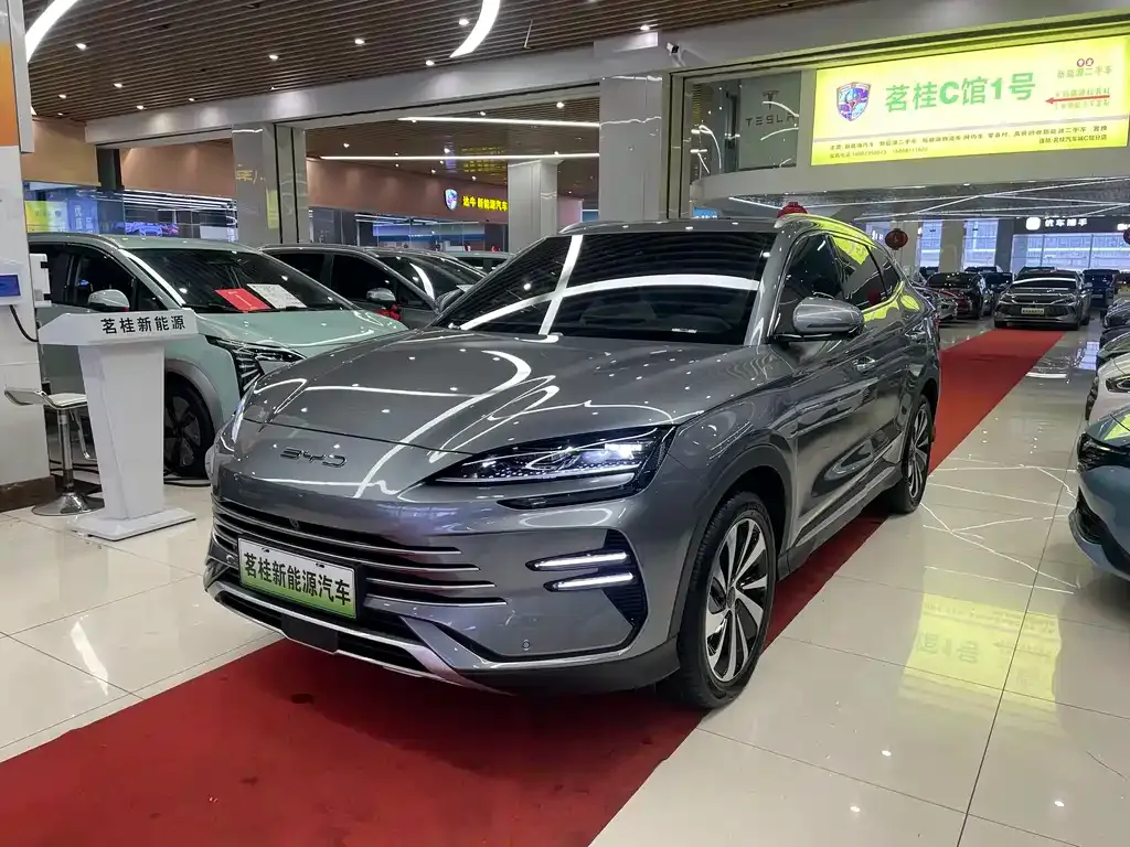 BYD PLUS New Energy 2024 из CN, фото 1