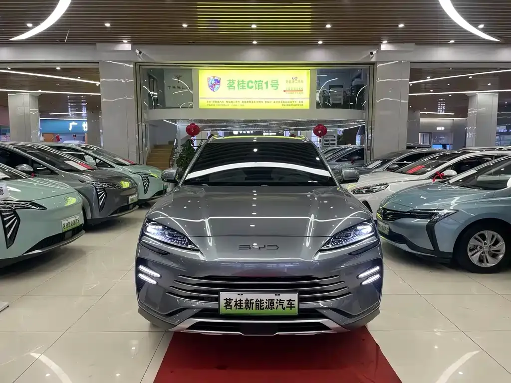 BYD PLUS New Energy 2024 из CN, фото 2