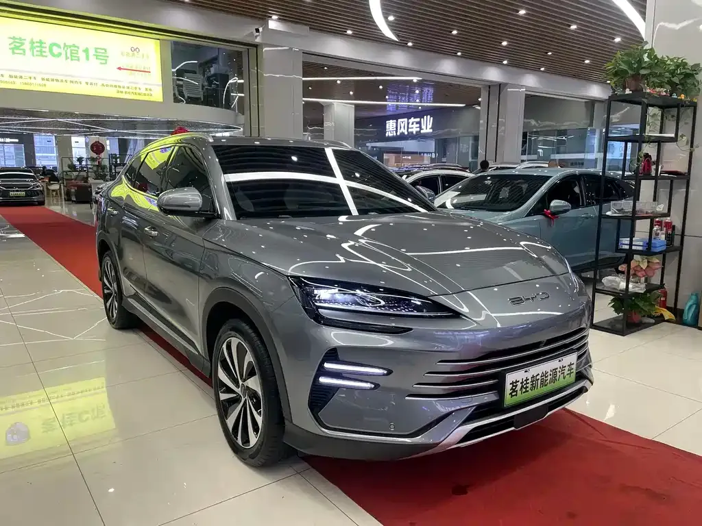 BYD PLUS New Energy 2024 из CN, фото 3
