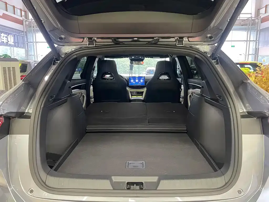 BYD PLUS New Energy 2024 из CN, фото 6