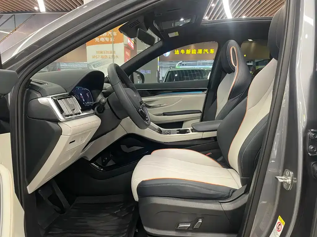 BYD PLUS New Energy 2024 из CN, фото 7