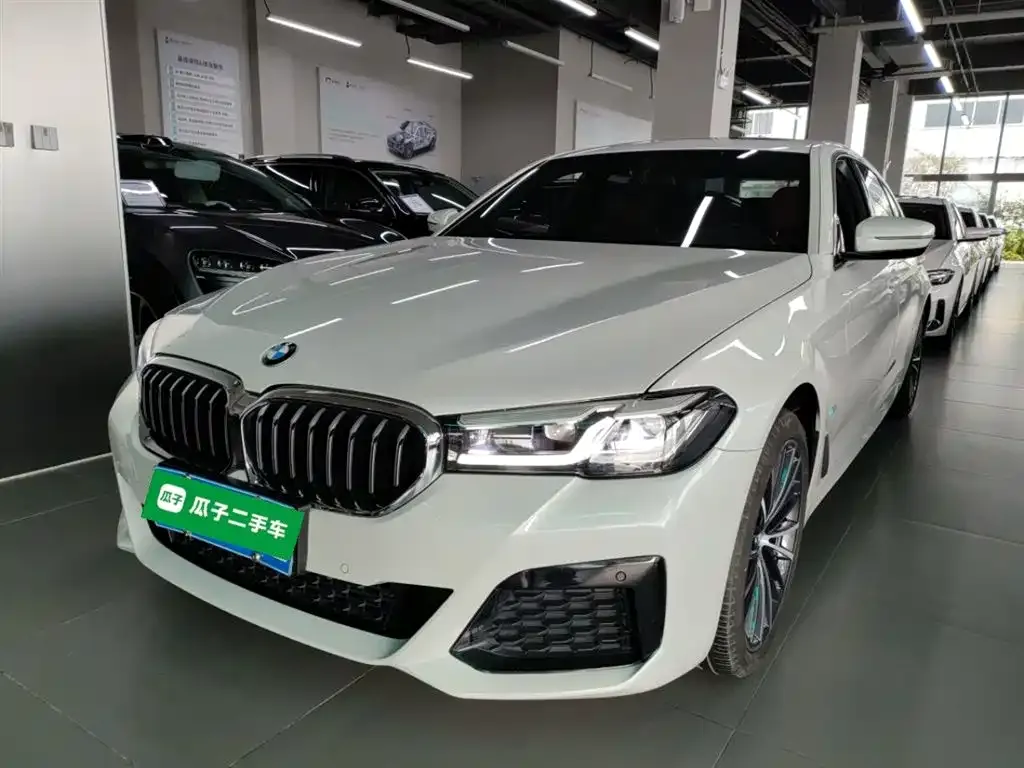 BMW 5 Series 2023 из CN, фото 1