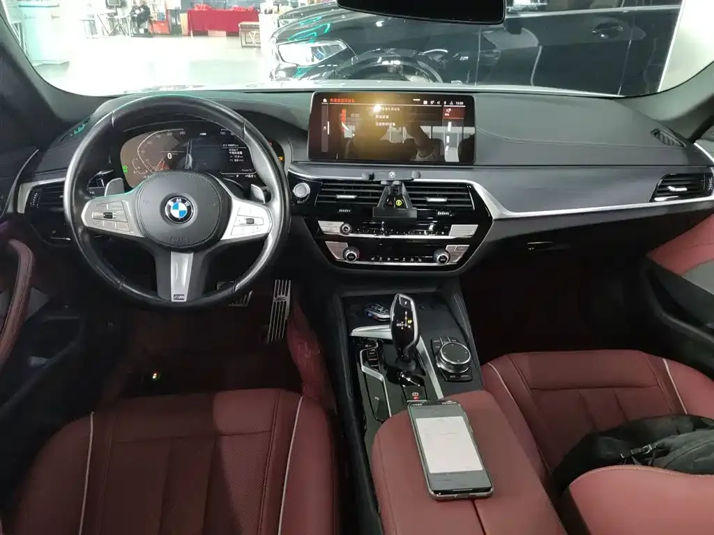 BMW 5 Series 2023 из CN, фото 10