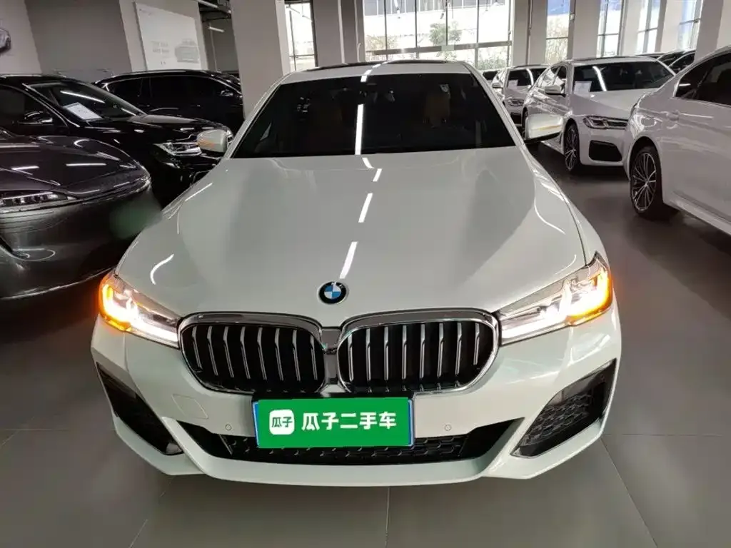 BMW 5 Series 2023 из CN, фото 3