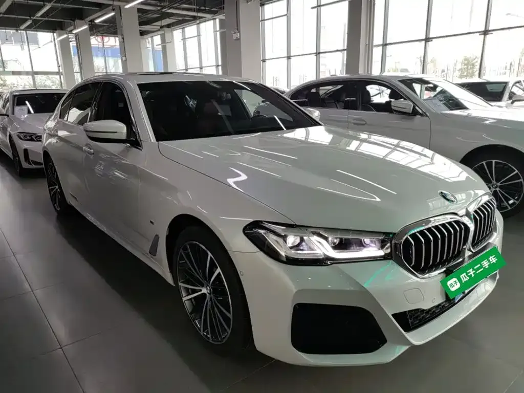 BMW 5 Series 2023 из CN, фото 4