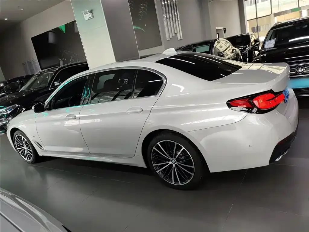 BMW 5 Series 2023 из CN, фото 5