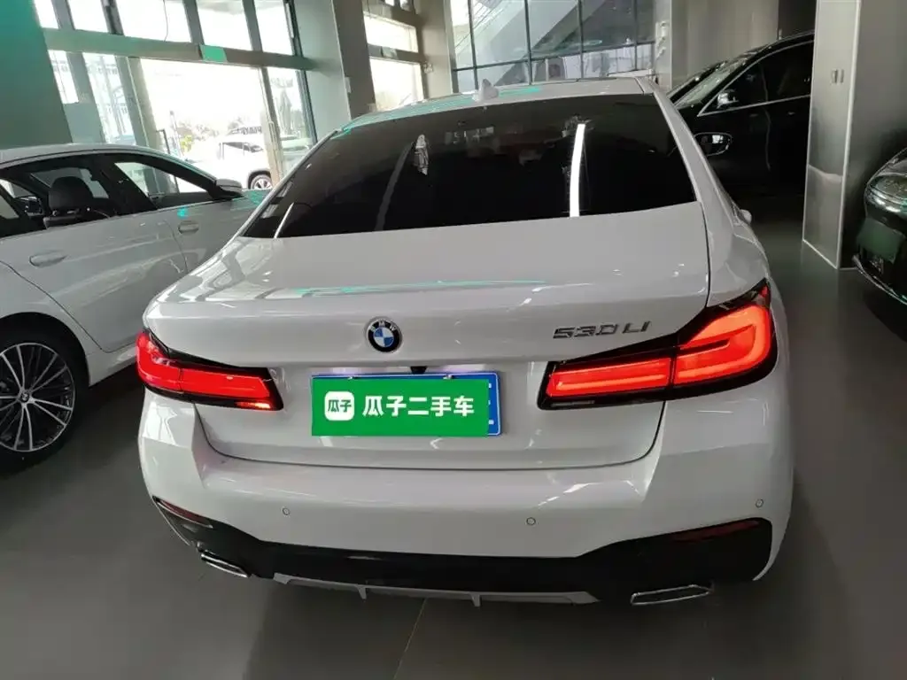 BMW 5 Series 2023 из CN, фото 6