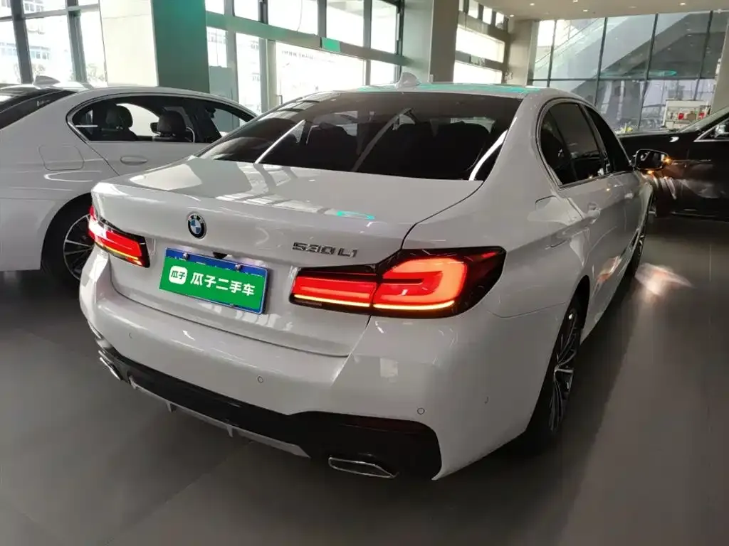 BMW 5 Series 2023 из CN, фото 7