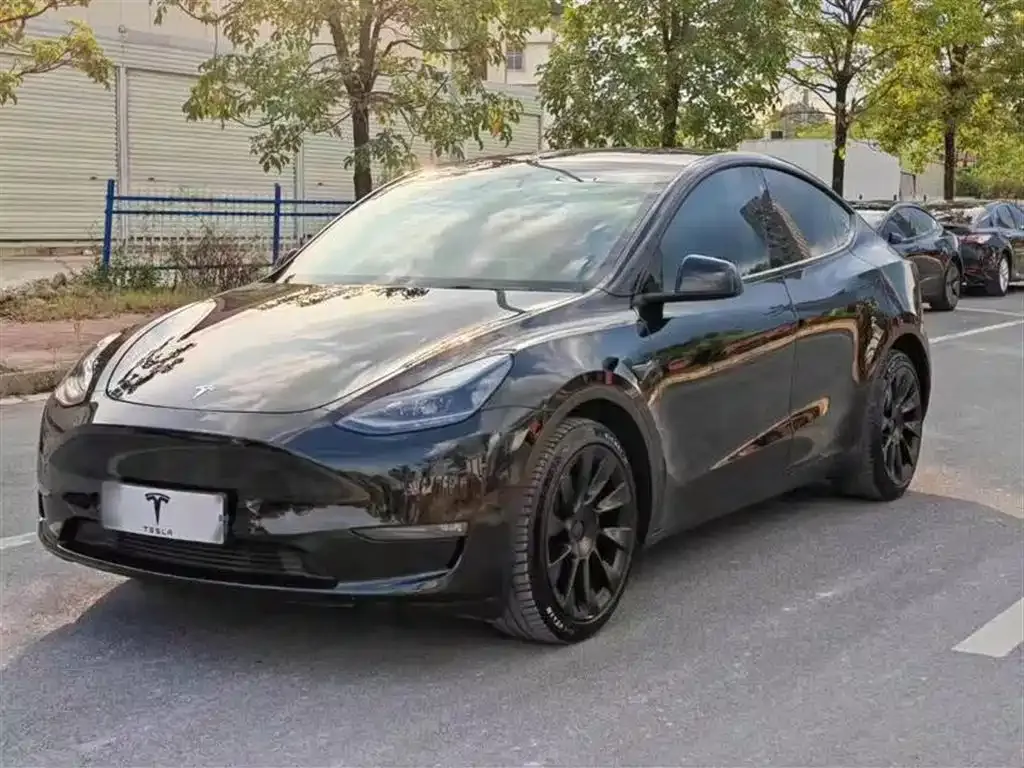 Tesla Model Y — фото 1