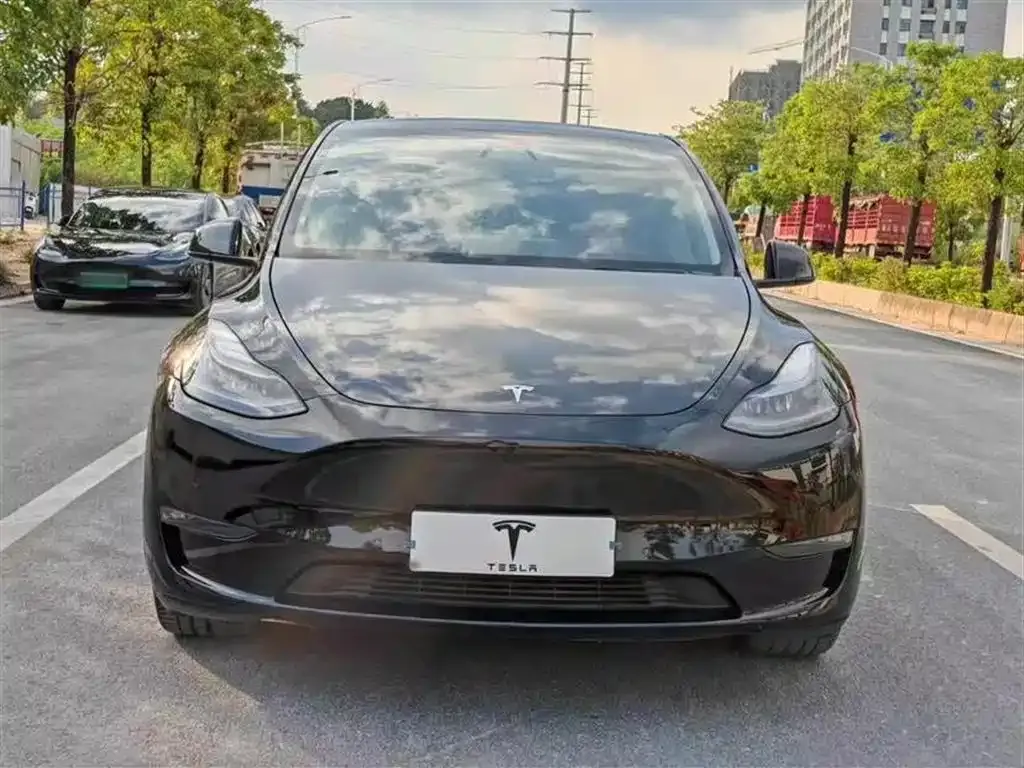 Tesla Model Y — фото 3