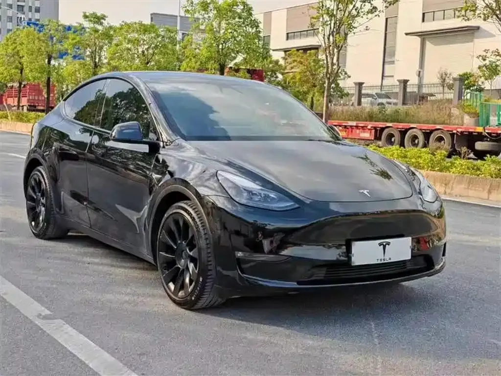 Tesla Model Y — фото 4