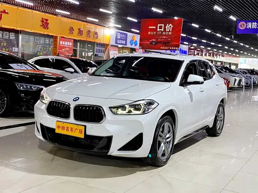 BMW X2 2023 из CN, фото 1