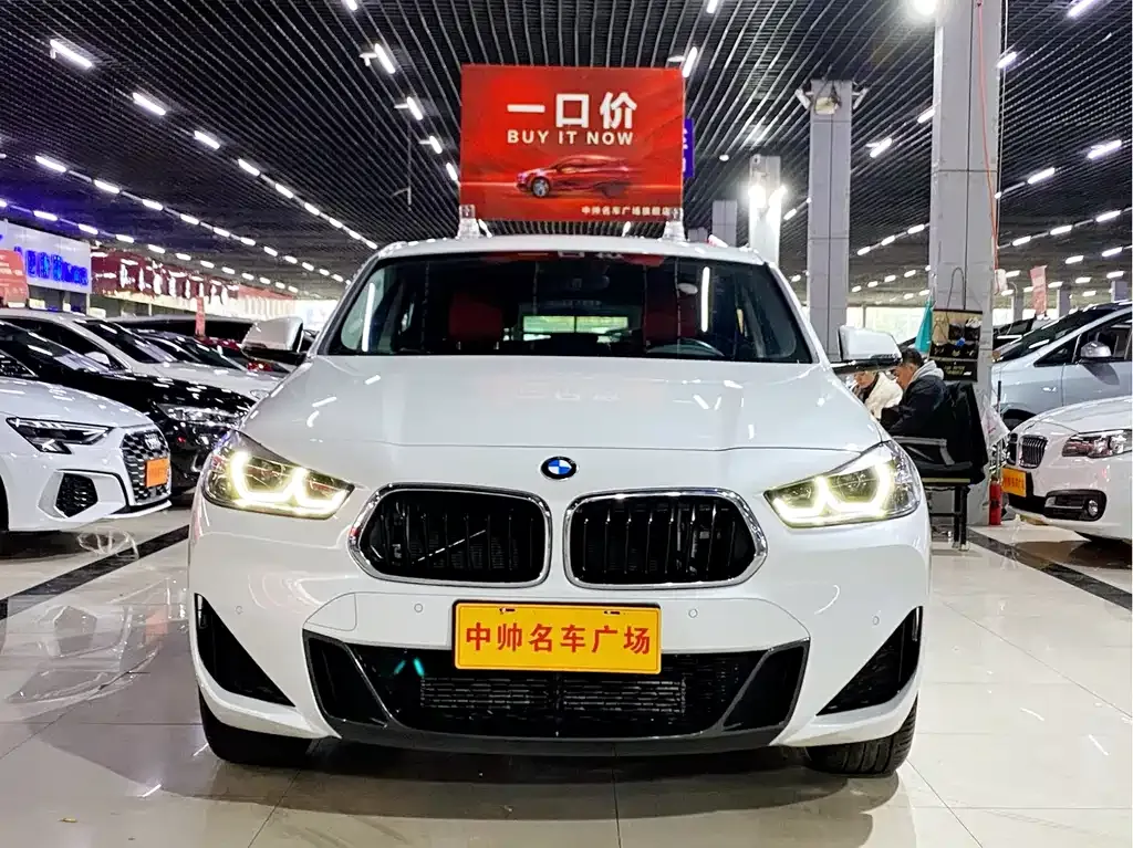 BMW X2 2023 из CN, фото 2