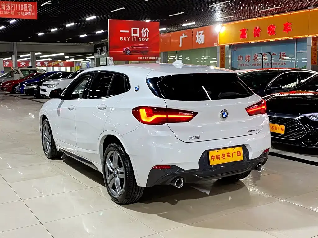 BMW X2 2023 из CN, фото 6