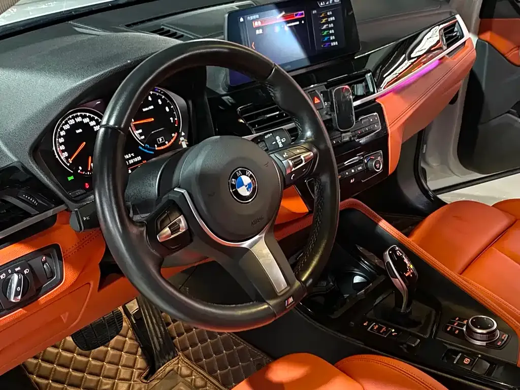 BMW X2 2023 из CN, фото 9