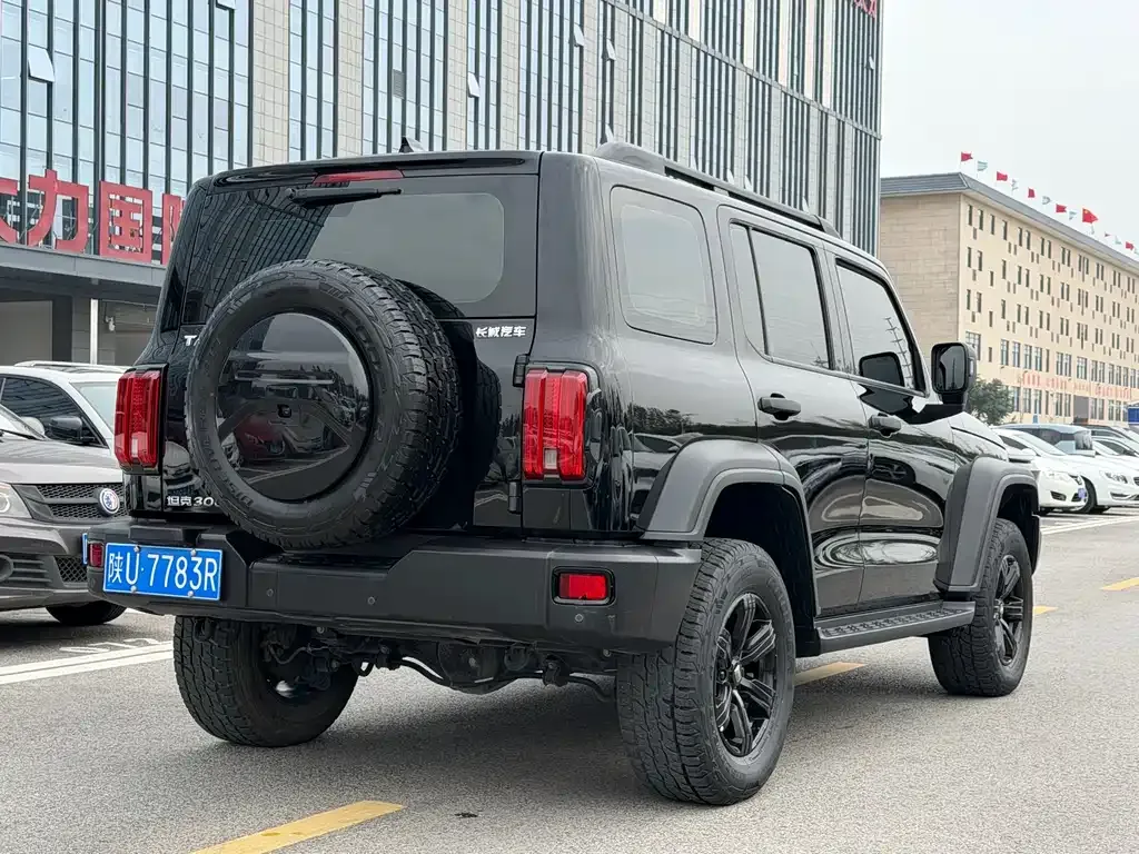 Tank 300 2022 из CN, фото 4