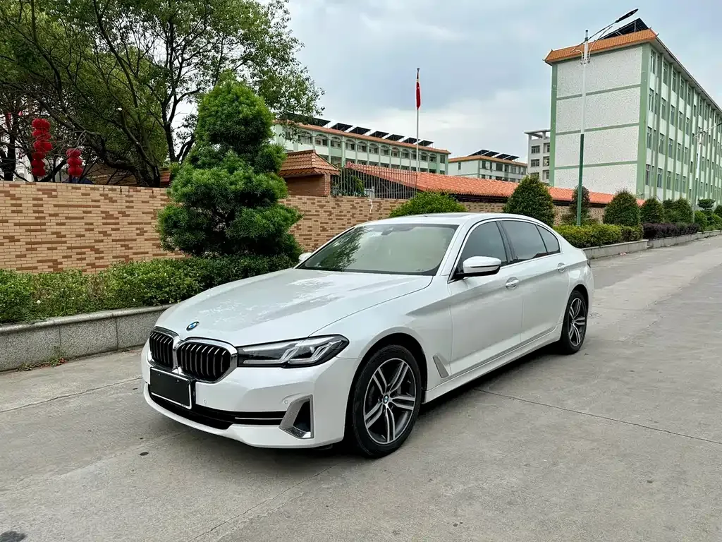 BMW 5 Series 2021 из CN, фото 1