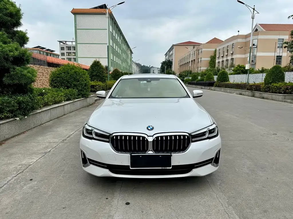 BMW 5 Series 2021 из CN, фото 2
