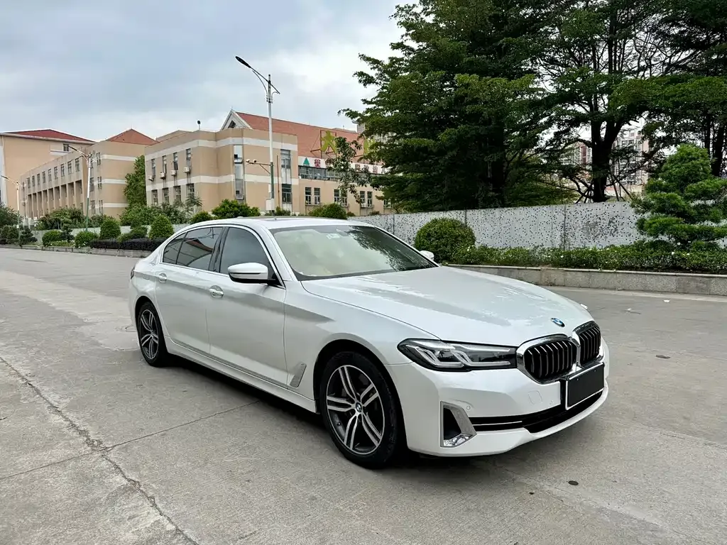 BMW 5 Series 2021 из CN, фото 3