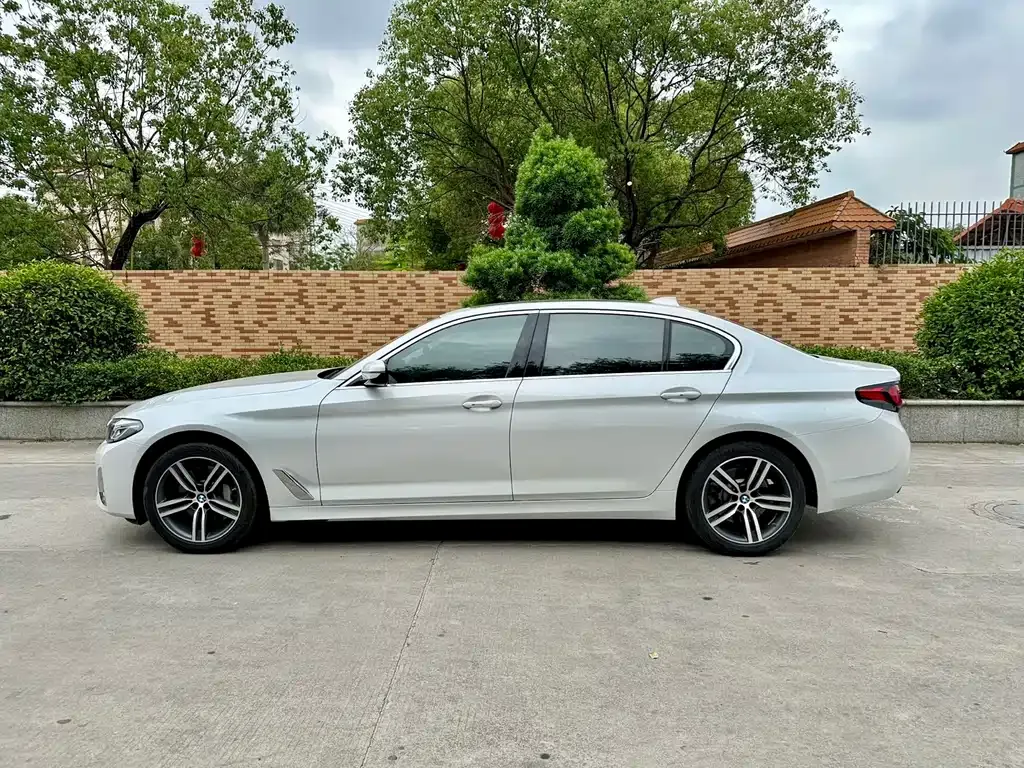 BMW 5 Series 2021 из CN, фото 4