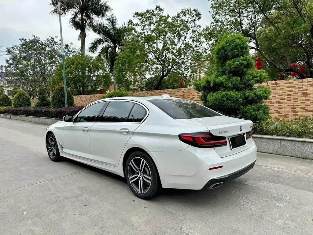 BMW 5 Series 2021 из CN, фото 5