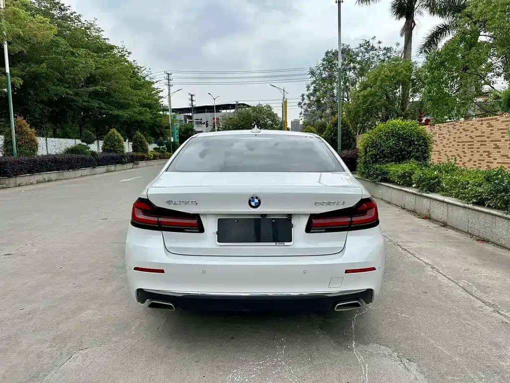 BMW 5 Series 2021 из CN, фото 6