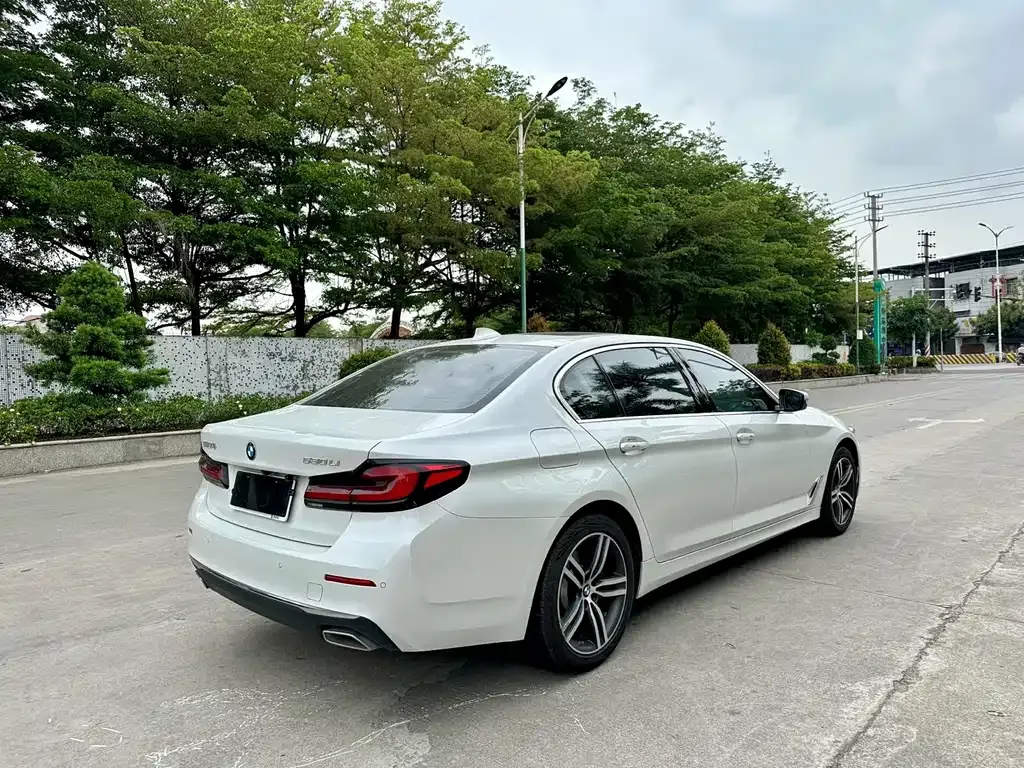 BMW 5 Series 2021 из CN, фото 7