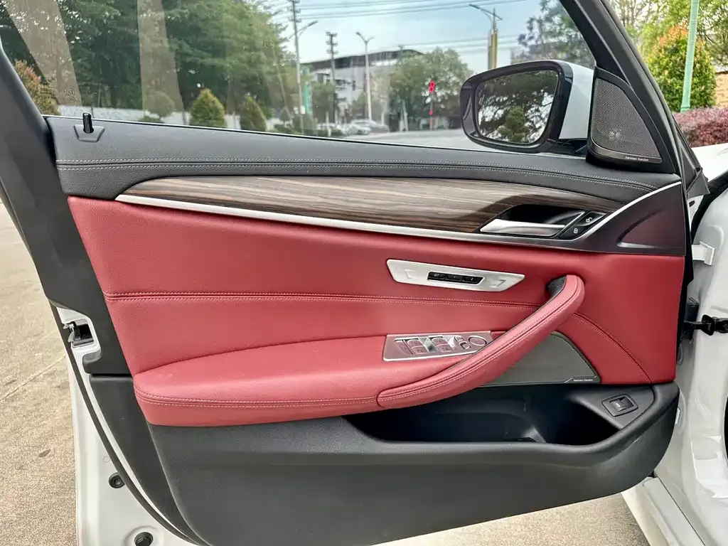 BMW 5 Series 2021 из CN, фото 8