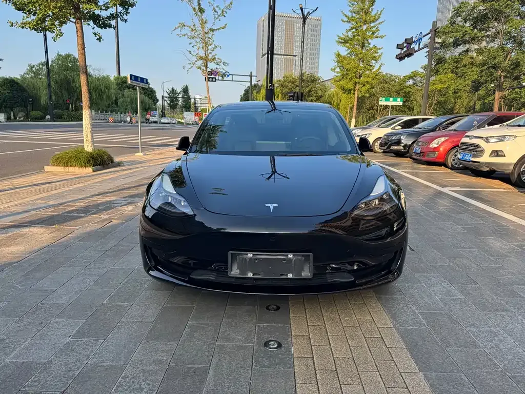 Tesla Model 3 2021 из CN, фото 1