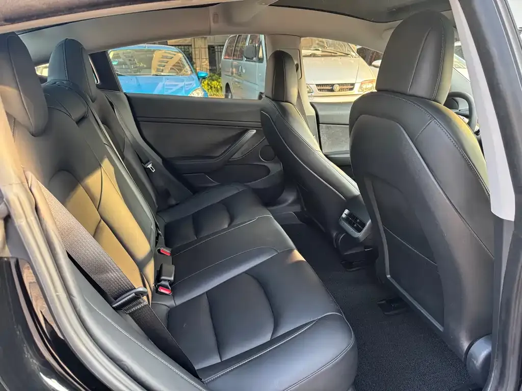Tesla Model 3 2021 из CN, фото 10