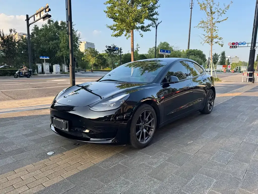 Tesla Model 3 2021 из CN, фото 2