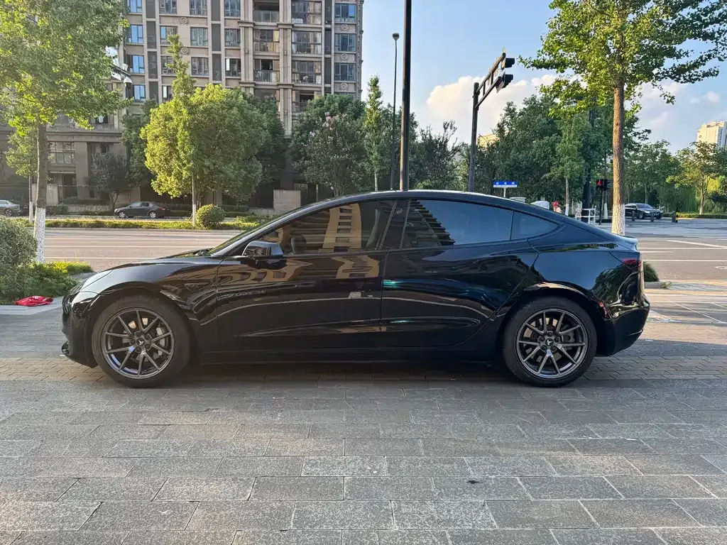 Tesla Model 3 2021 из CN, фото 3