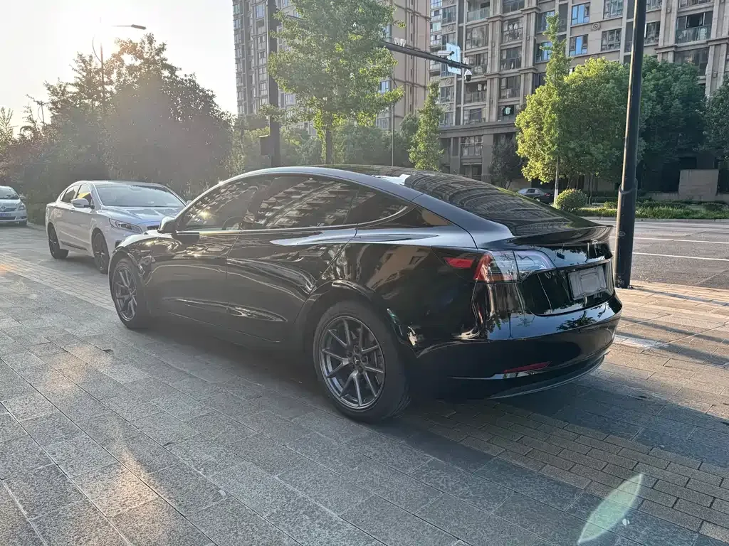 Tesla Model 3 2021 из CN, фото 4