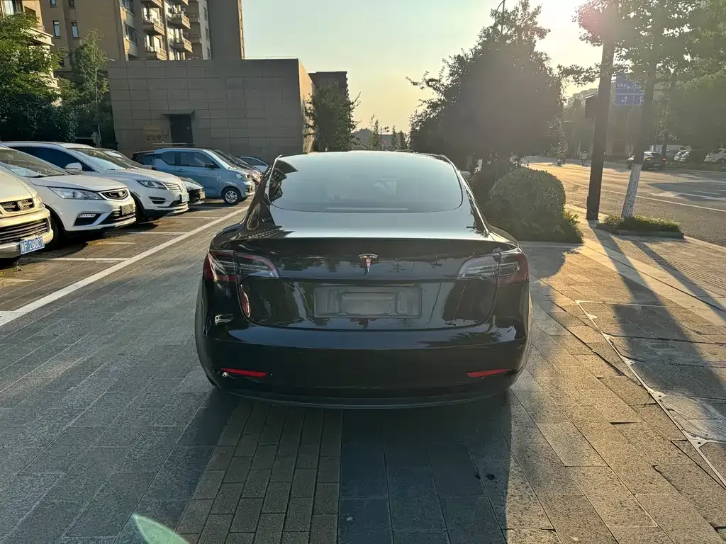 Tesla Model 3 2021 из CN, фото 5