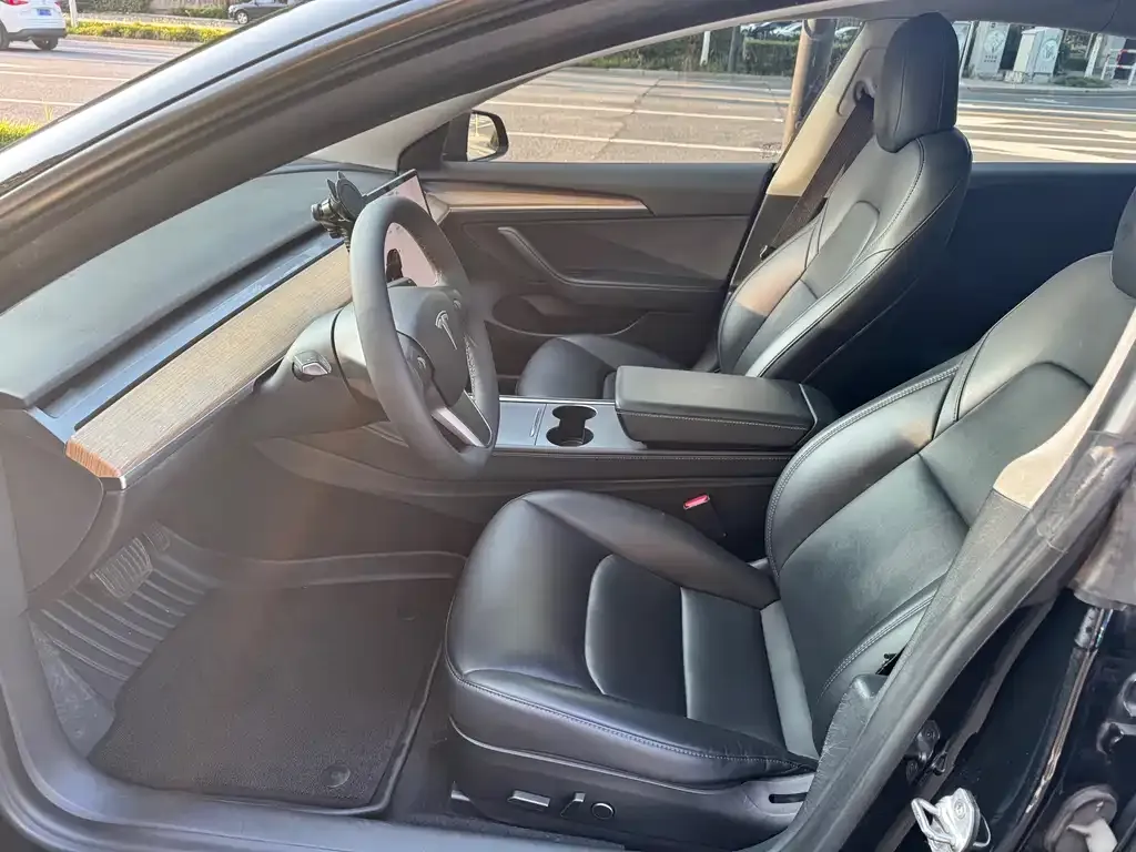 Tesla Model 3 2021 из CN, фото 7