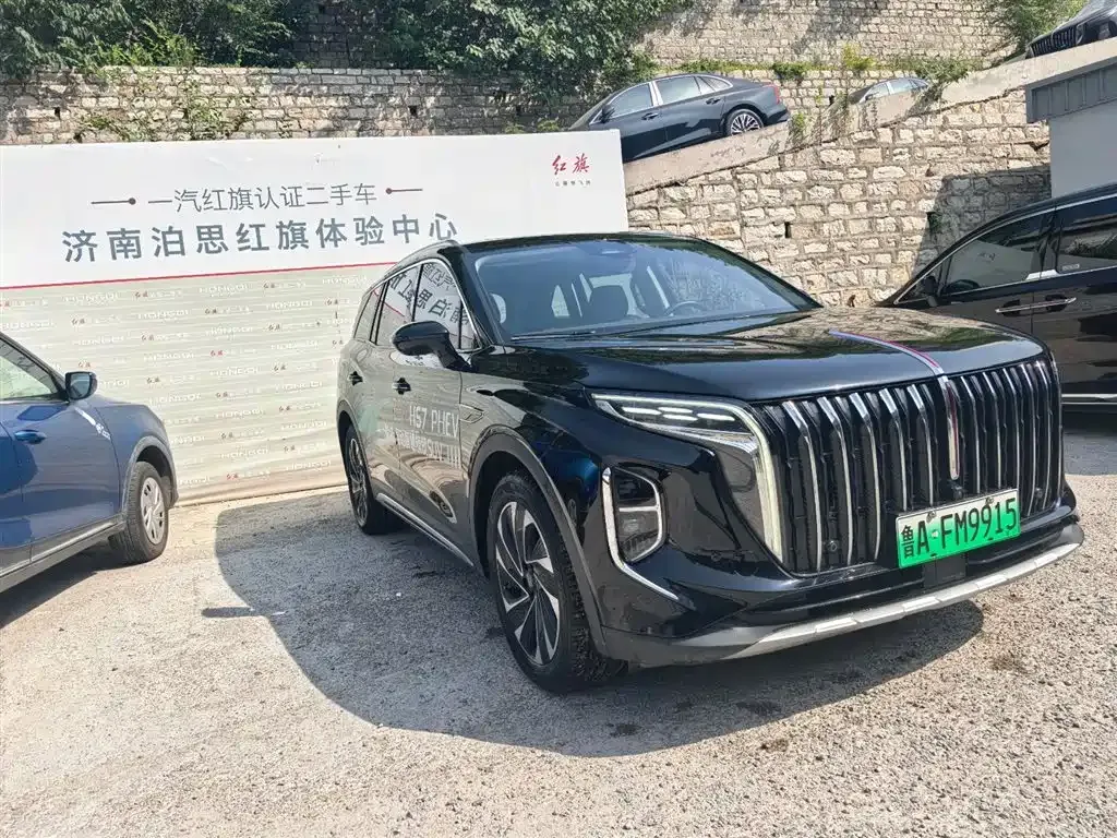 Hongqi HS7 — фото 3