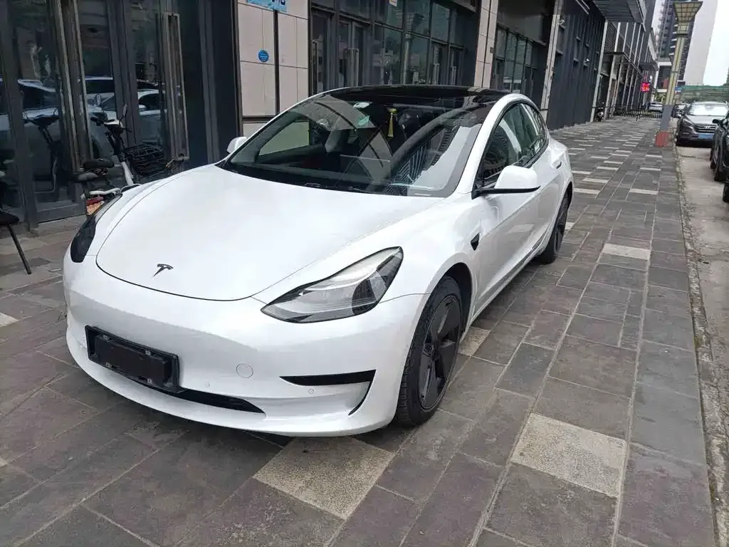 Tesla Model 3 2021 из CN, фото 1