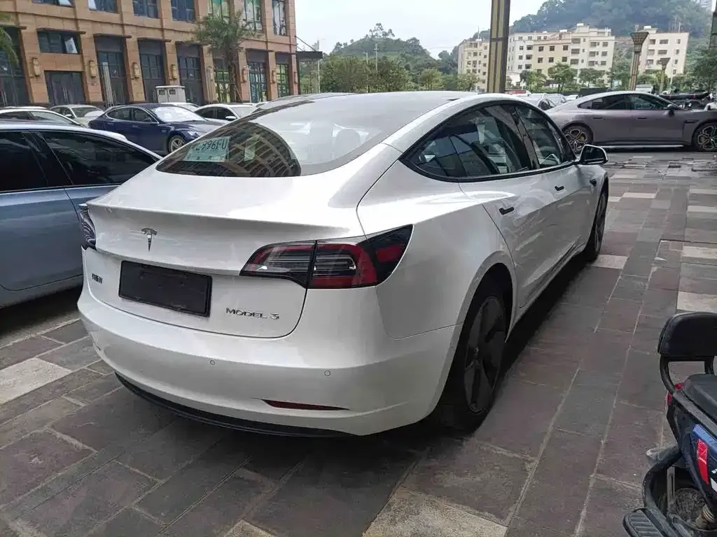 Tesla Model 3 2021 из CN, фото 2
